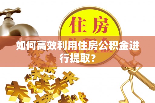 顺平如何高效利用住房公积金进行提取？
